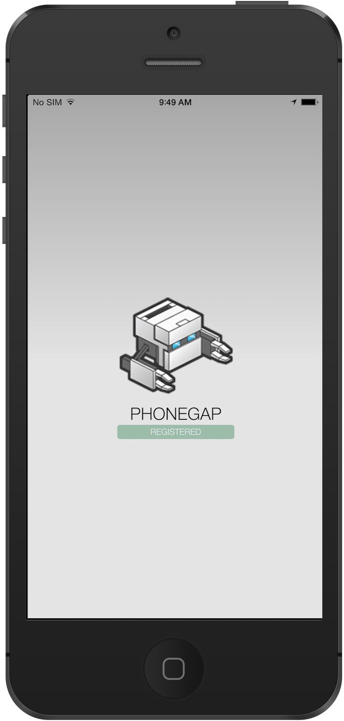 Developer App, push registration