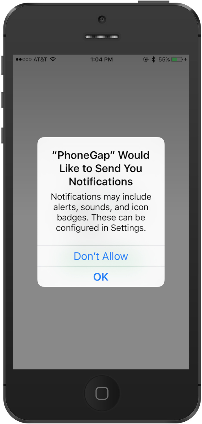Developer App, push permission request