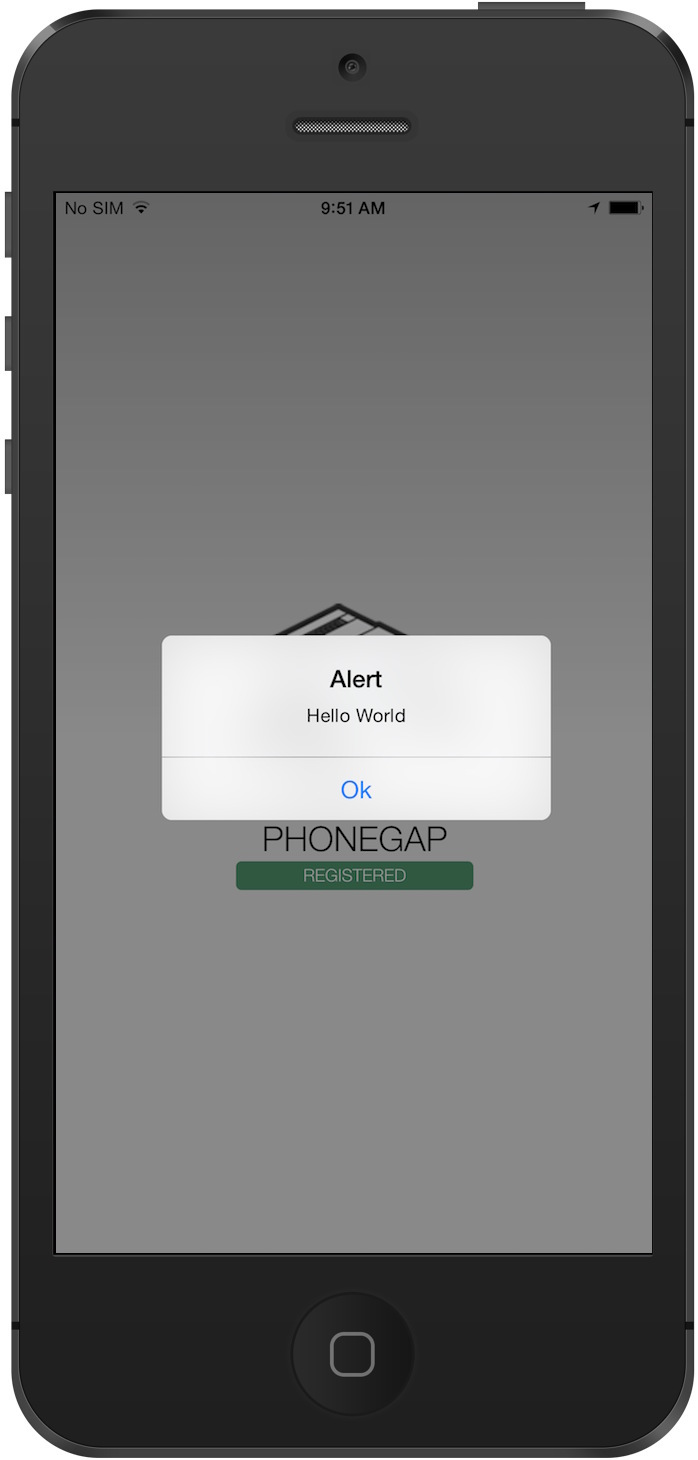 Developer App, push received