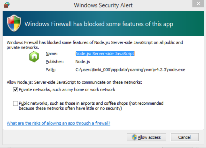 Firewall allow NodeJS