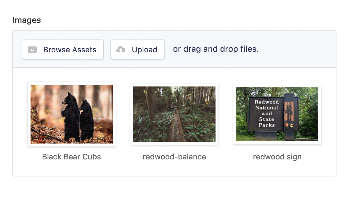 Assets Fieldtype