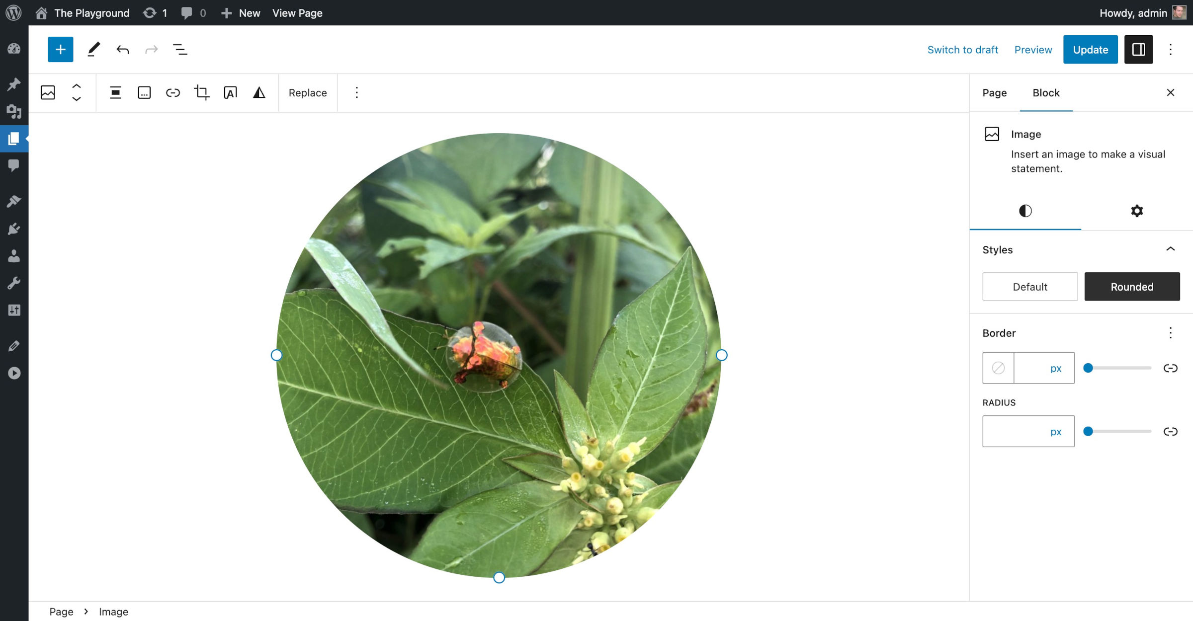 WordPress post editor with a rounded image shown in the content canvas of a bug on a leaf.