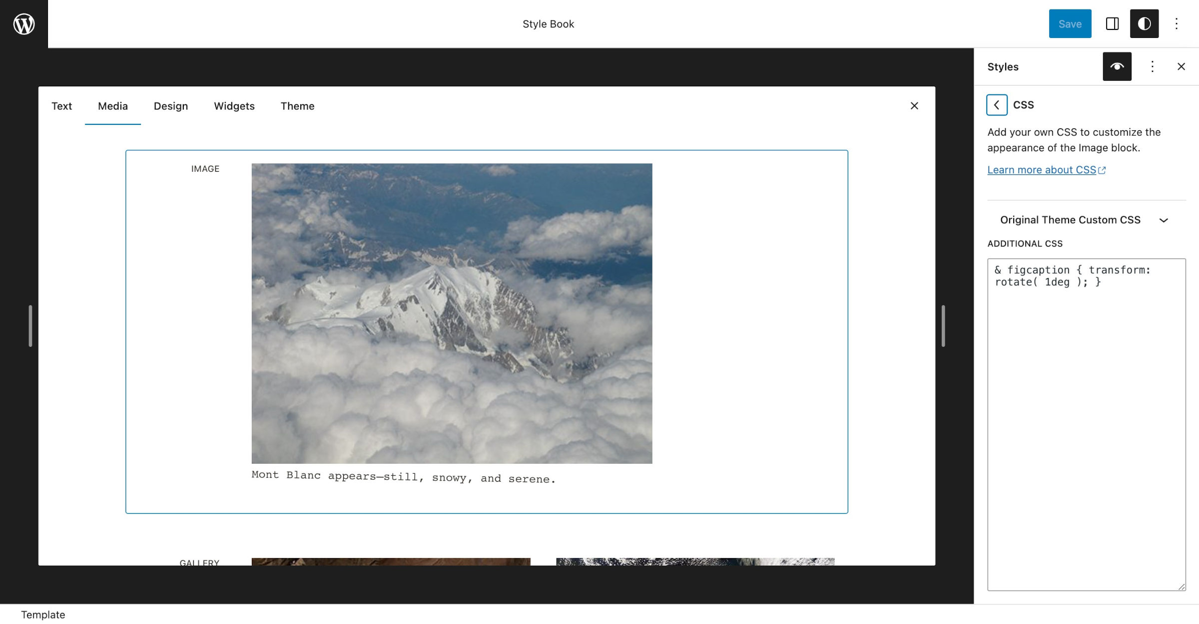 WordPress Style Book with the Image block selected and a slanted caption. On the right, the Additional CSS field is shown with custom CSS code for the caption.