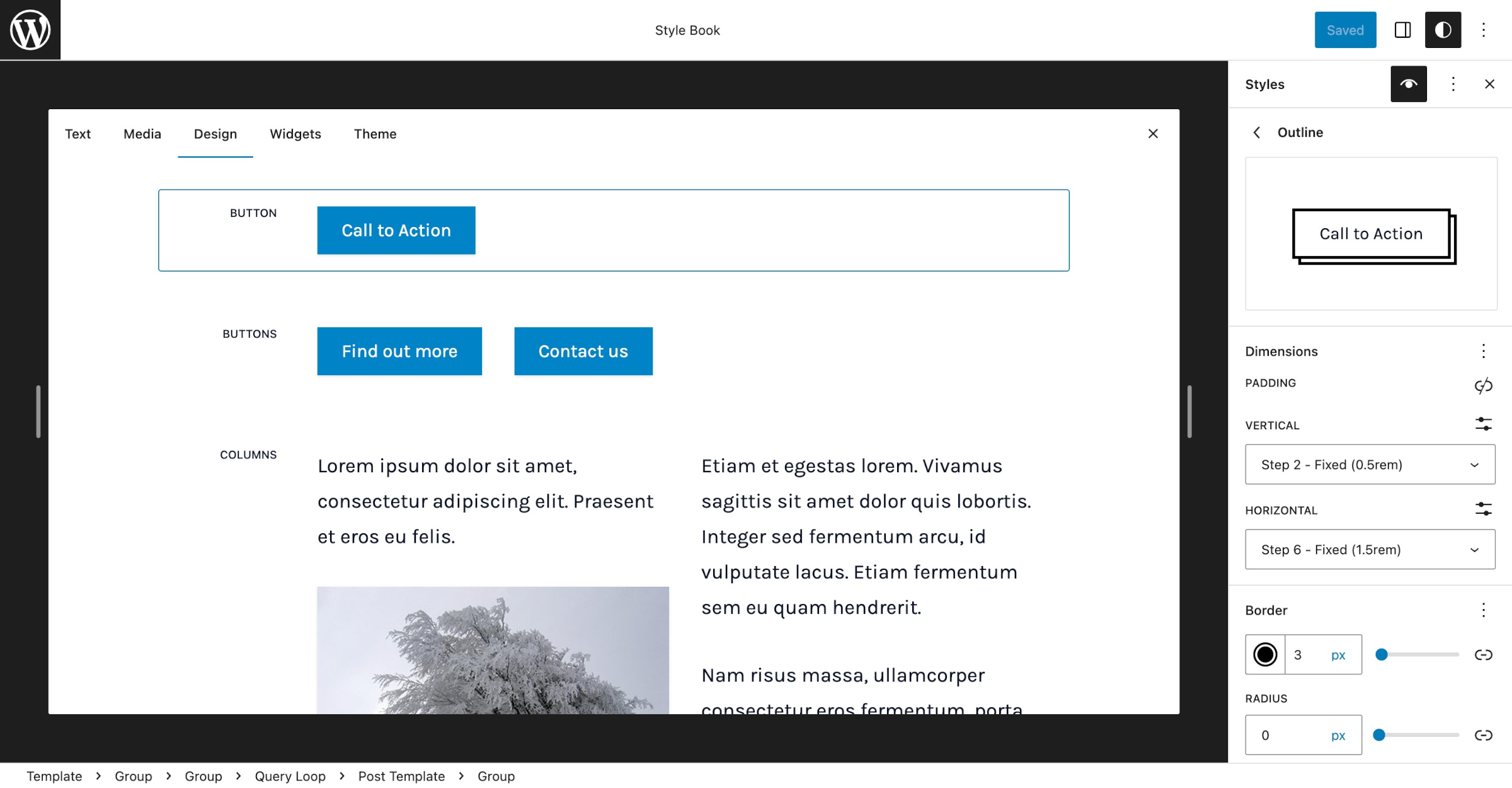 WordPress Style book with the Button block highlighted. In the sidebar, an outlined version of the Button is shown with its custom design tools.