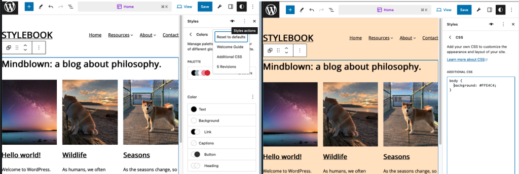 A screenshot showing the use of the Style Book Custom CSS feature to change the global background color