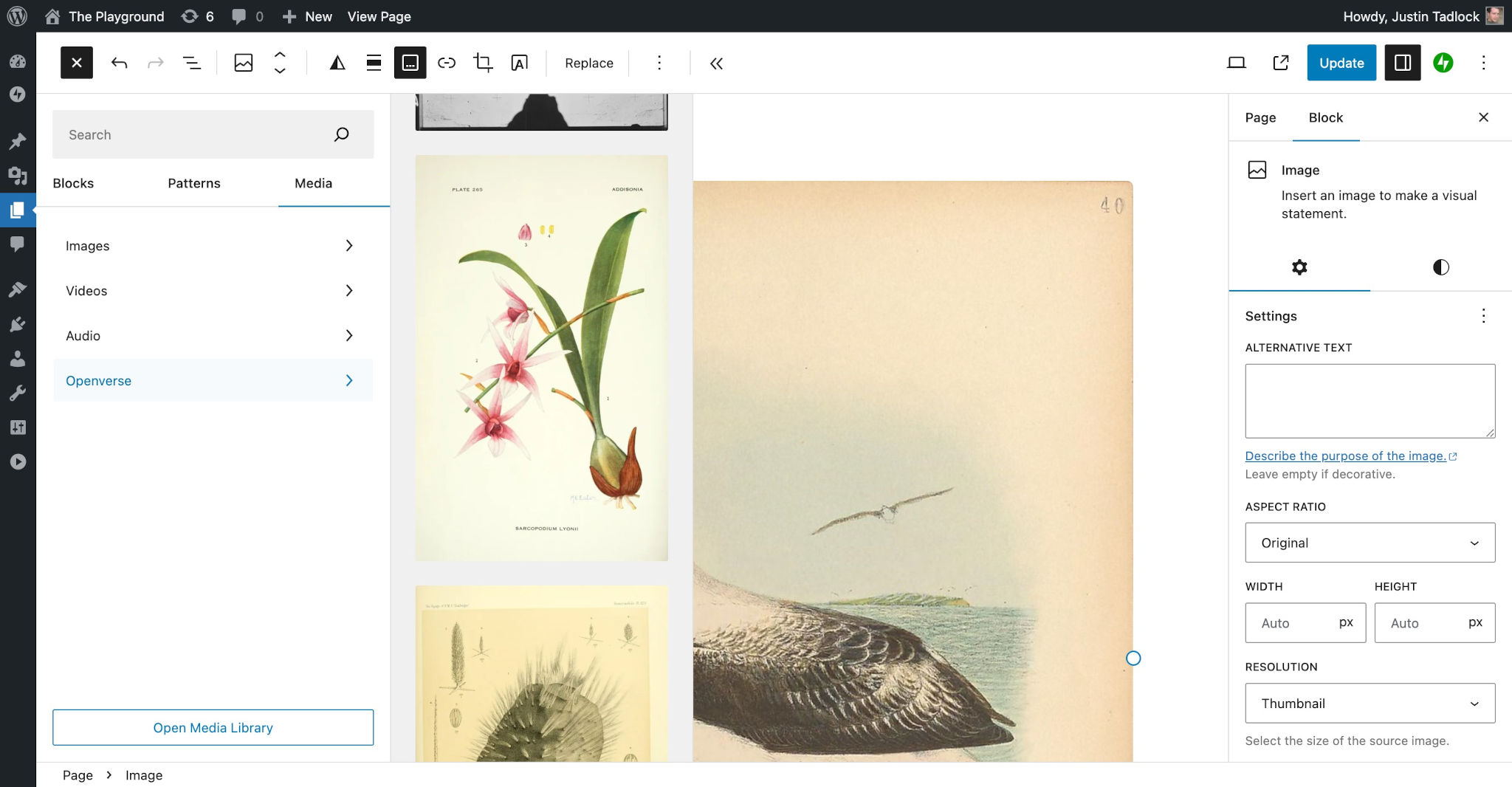 WordPress post editor with the media inserter open. The Openverse media category slideout is shown with a list of possible images to choose from.