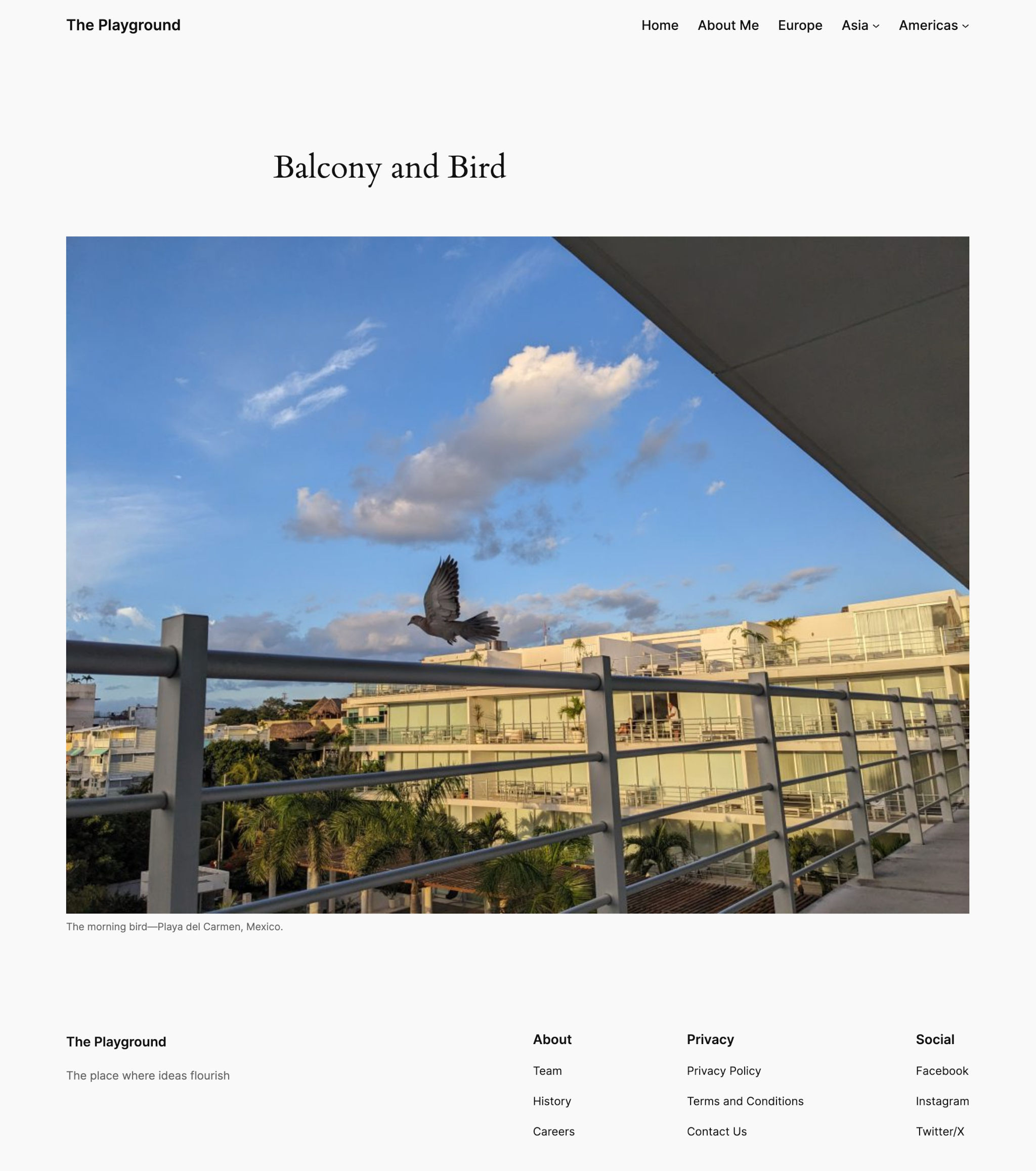 Screenshot of an attachment image page. The image is of a bird and balcony.