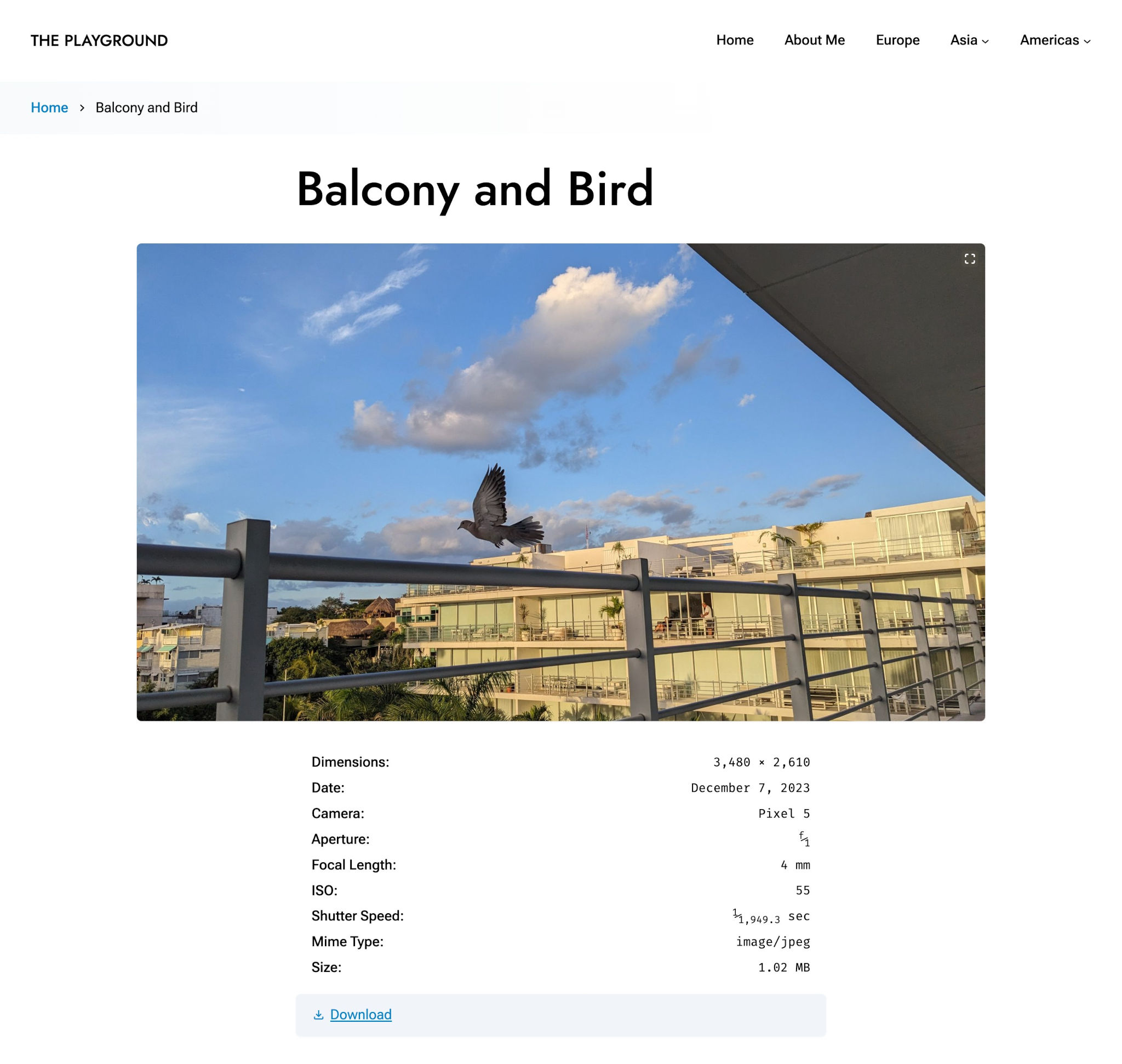 Image attachment page that shows a wide image of a bird flying from a balcony rail. Below the image is a list of the photograph metadata.