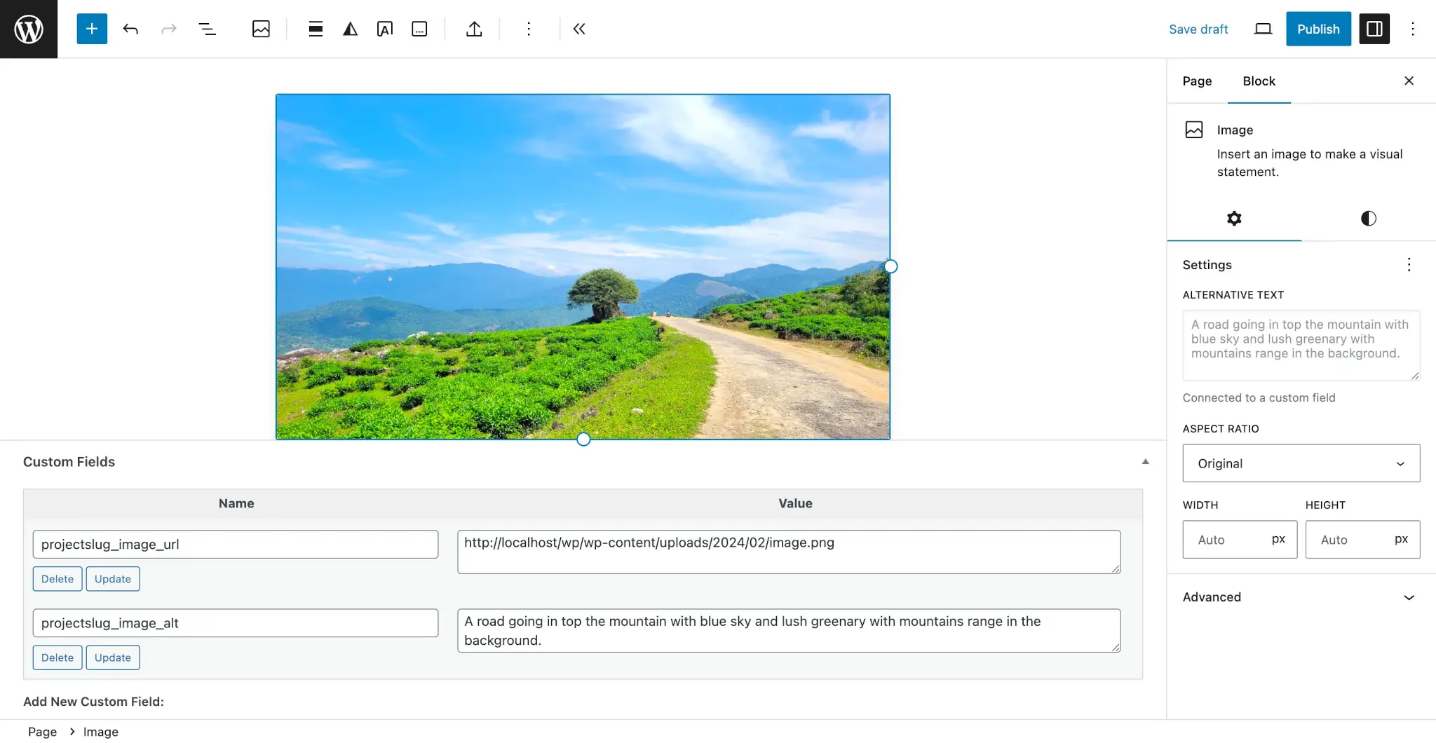 WordPress post editor that displays an image of a road and mountains. At the bottom of the editor are two custom fields associated with the image URL and alt text.