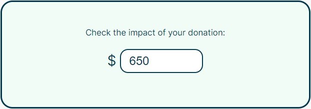 front end of the donation calculator block