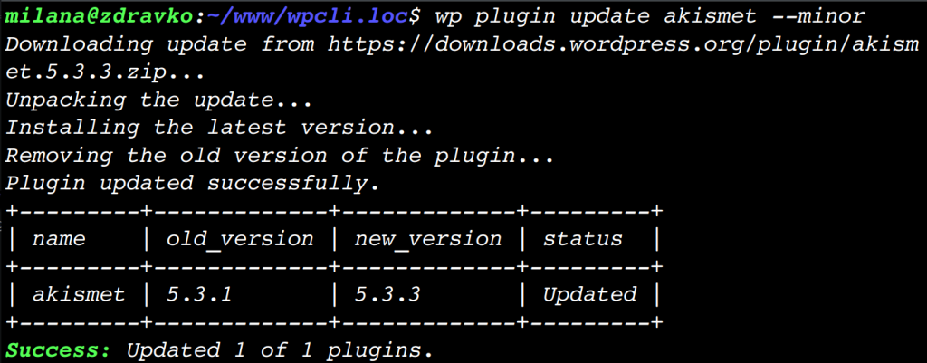 Output of WP-CLI command for updating Akismet plugin to the latest minor version.