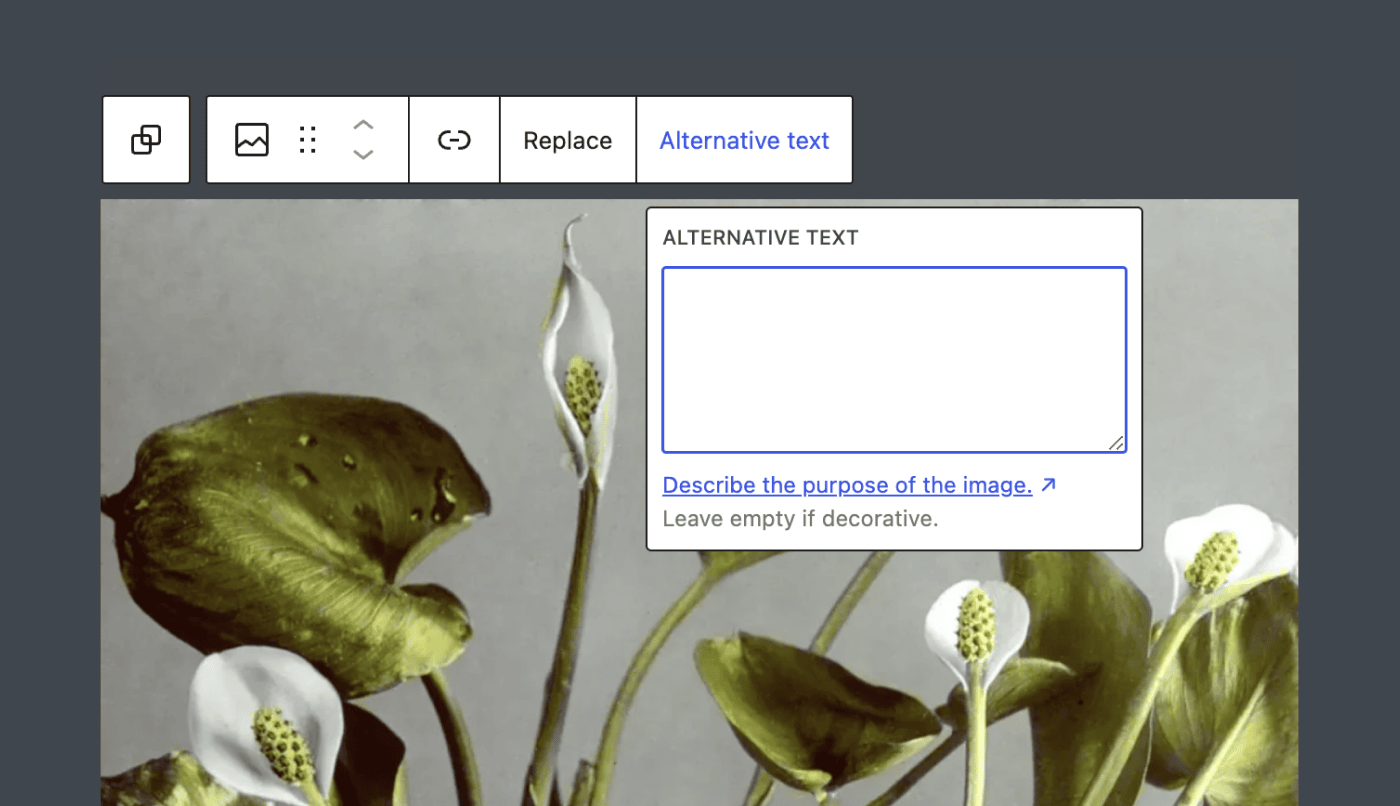 The Alternative text dropdown in the Image block when content-only mode is enabled.