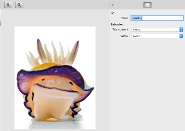 Picture Editor.png